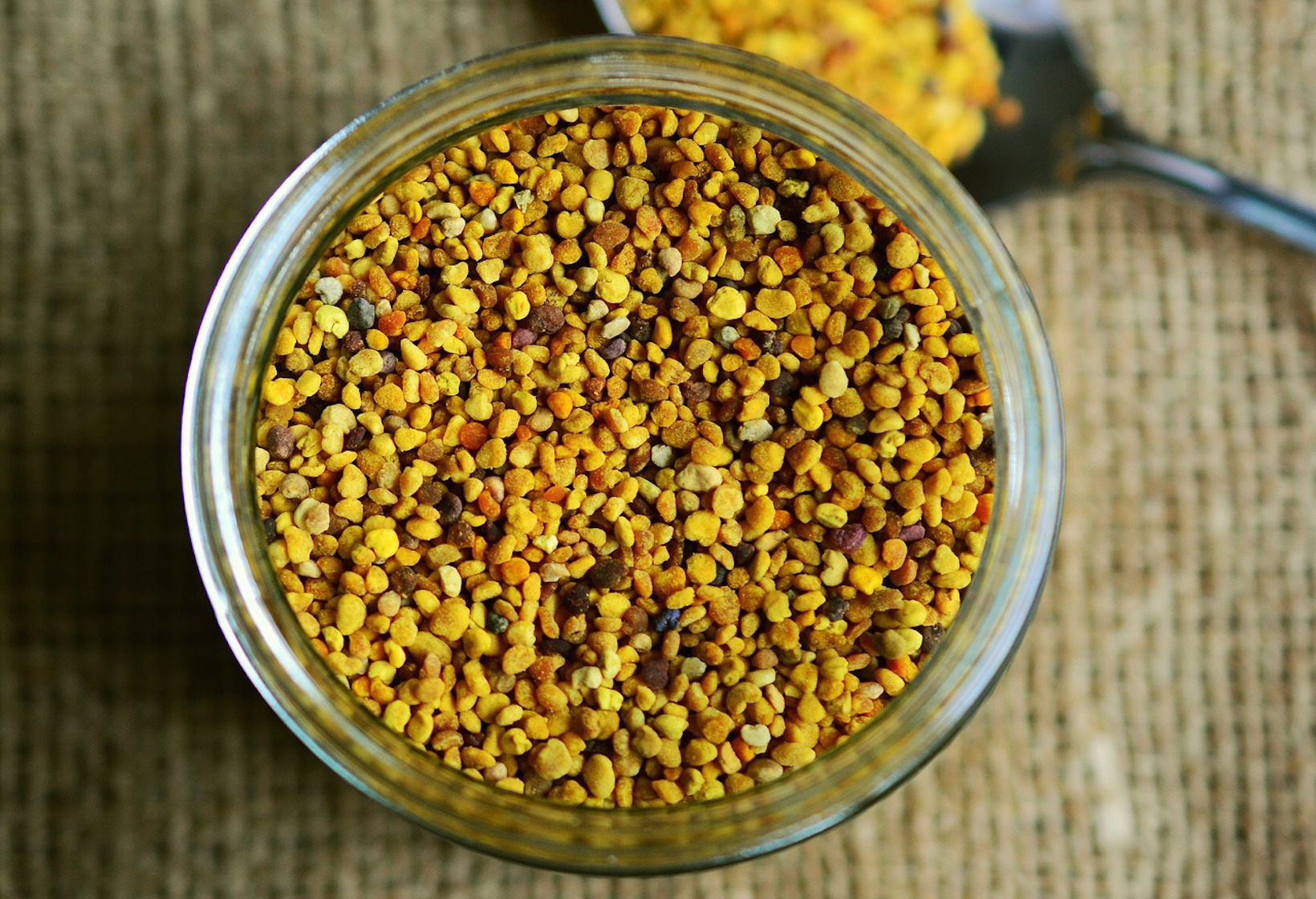 Le pollen