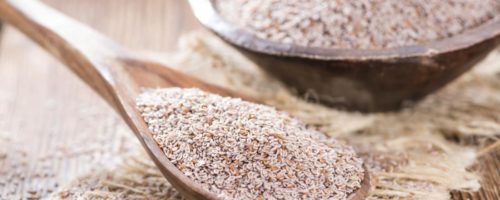 Le psyllium