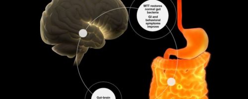 Boulimie / Anorexie / Autisme / Microbiote