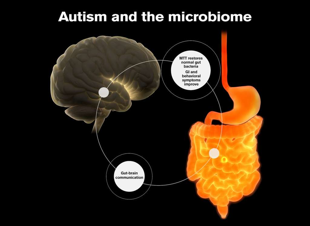 Boulimie / Anorexie / Autisme / Microbiote