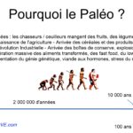 Alimentation Paléo?