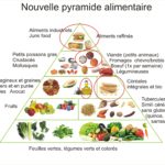 La pyramide alimentaire du passé (lointain) et du futur