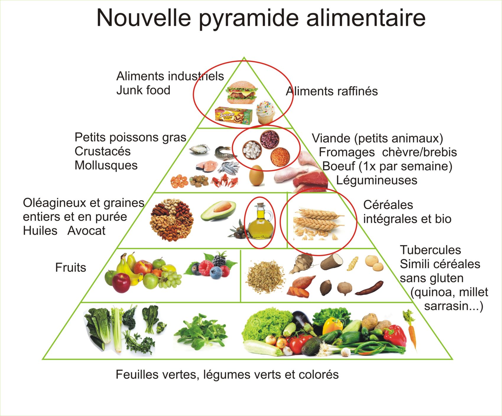 La pyramide alimentaire du passé (lointain) et du futur