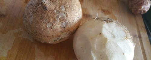 Le Jicama ou pois patate