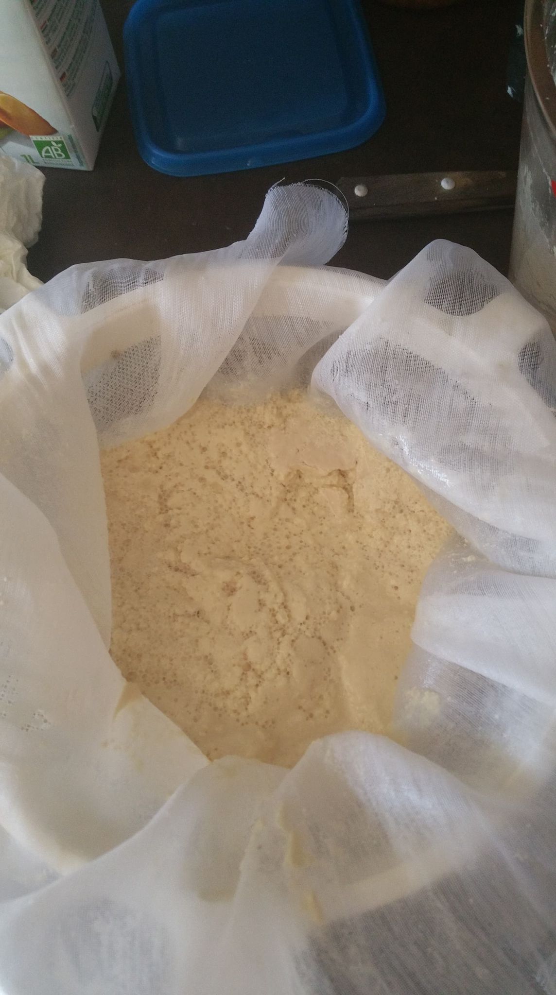 Tofu lactofermenté maison