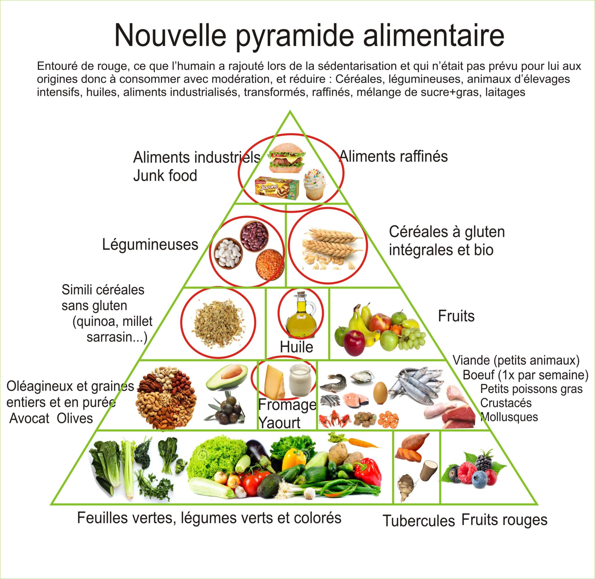 L'alimentation Paléo (ou ancestrale) • Irène Lorient, Naturopathe — free download