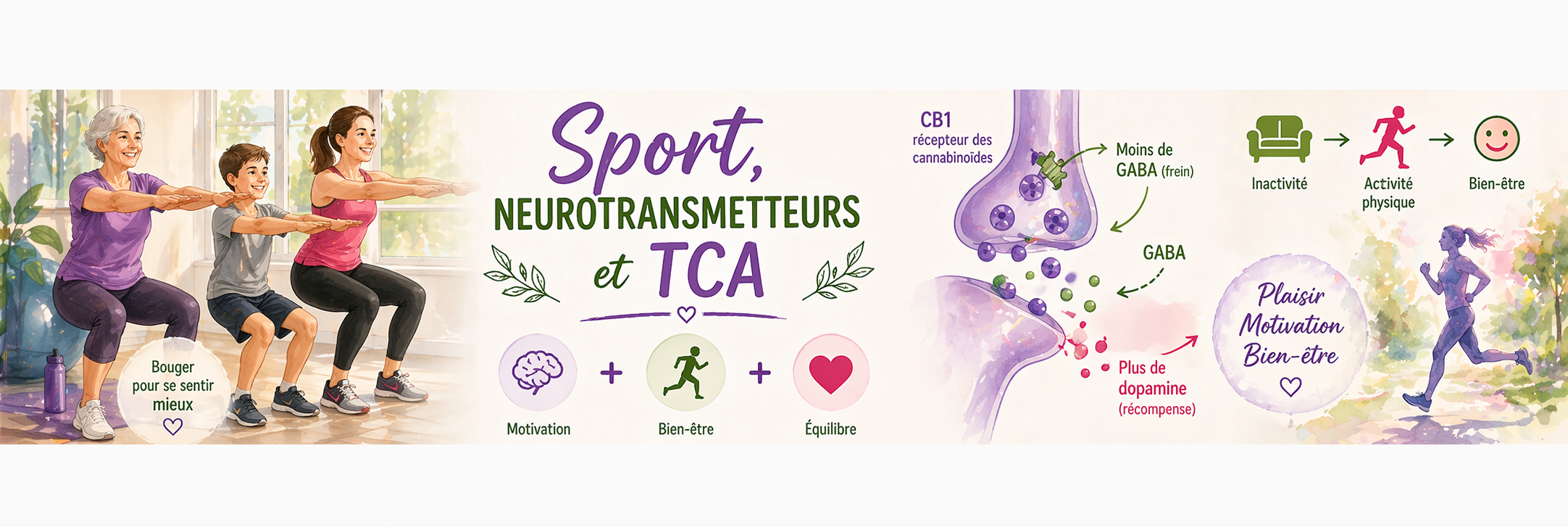 Sport, neurotransmetteurs et TCA