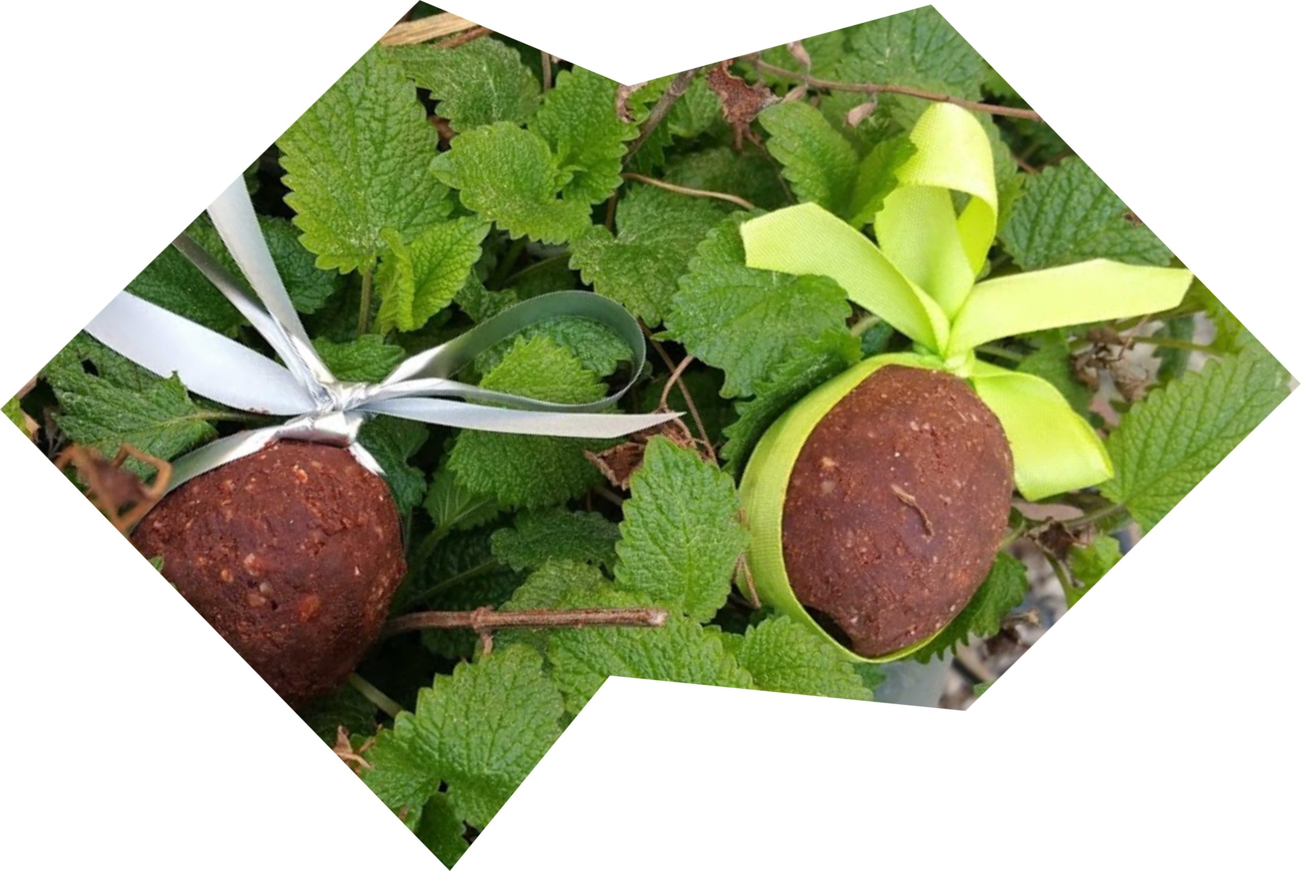 Oeuf en chocolat version plaisir ET santé