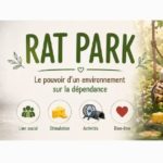Rat Park