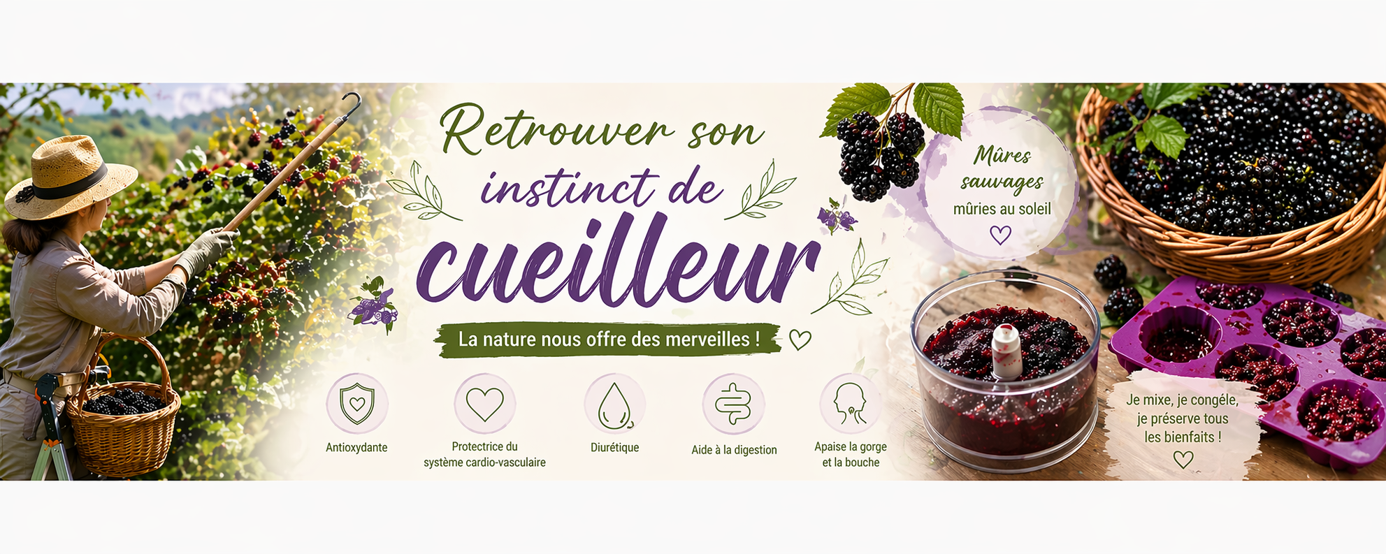Retrouver son instinct de cueilleur
