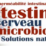 PROGRAMME  DU  DIPLÔME   UNIVERSITAIRE « Microbiote et santé » Sorbonne Université 2022/2023
