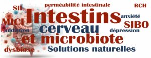 PROGRAMME  DU  DIPLÔME   UNIVERSITAIRE « Microbiote et santé » Sorbonne Université 2022/2023