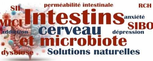 PROGRAMME  DU  DIPLÔME   UNIVERSITAIRE « Microbiote et santé » Sorbonne Université 2022/2023