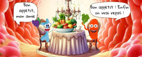 Le festin du microbiote