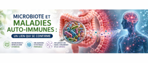 Microbiote et maladies auto-immunes : un lien qui se confirme