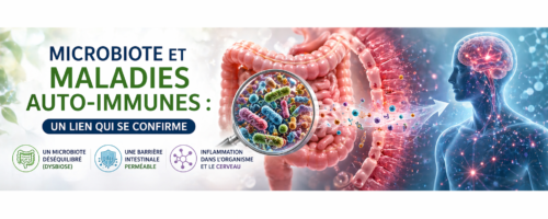 Microbiote et maladies auto-immunes : un lien qui se confirme