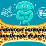 Microbiote et ostéoporose : une nouvelle voie de prévention ?