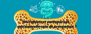 Microbiote et ostéoporose : une nouvelle voie de prévention ?