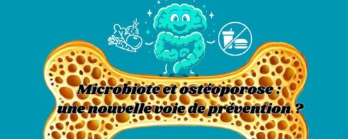 Microbiote et ostéoporose : une nouvelle voie de prévention ?