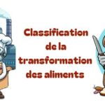 Classification de la transformations des aliments